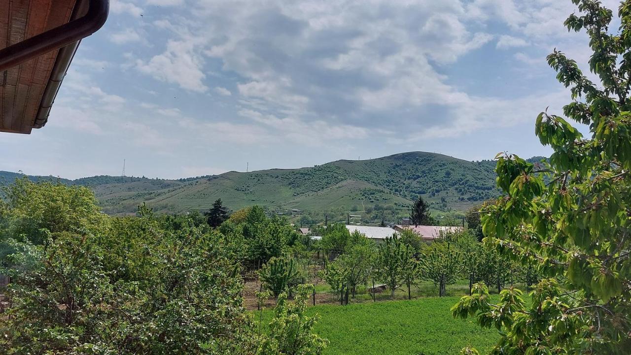 Agropensiunea Olteanu Niculitel ภายนอก รูปภาพ